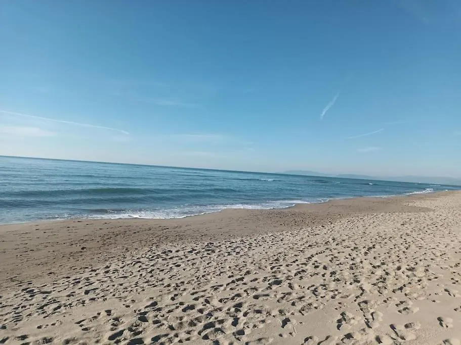 Casa Scrigno Di Viareggio Mare-Pineta Vicinissimi Apartment